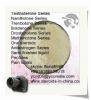 Anabolic Supplements Trenbolone Enanthate Powder 10161-33-8 For Bodybuilding